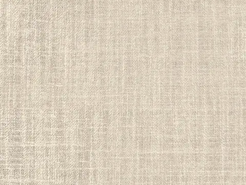Alendel Toronto drapery fabric swatch in Sesame (2039)