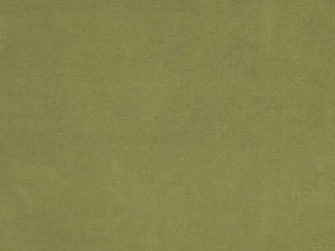Alendel Touch drapery fabric swatch in Moss (0963)