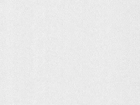 Alendel Urban sheer fabric swatch in Winter White (101)
