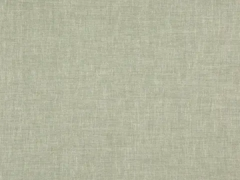 Alendel Vancouver drapery fabric swatch in Celery (0912)