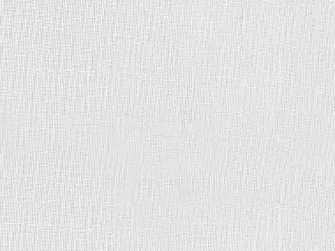 Alendel Vanish sheer fabric swatch in White (100)