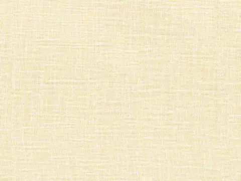 Alendel Weber sheer fabric swatch in Cream (0252)