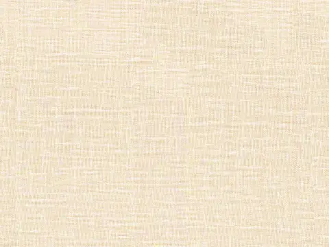 Alendel Weber sheer fabric swatch in Linen (0292)
