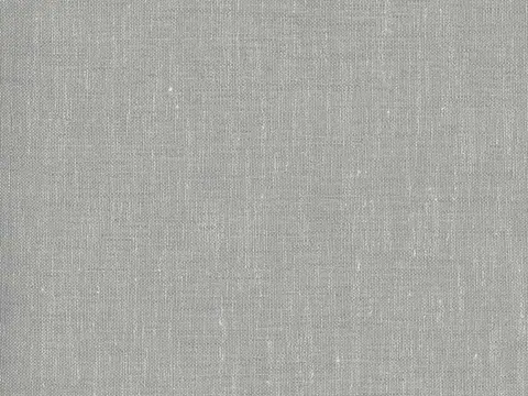 Alendel Weber sheer fabric swatch in Grey (449)