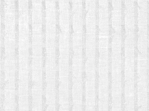 Alendel Whiskers sheer fabric swatch in White (100)