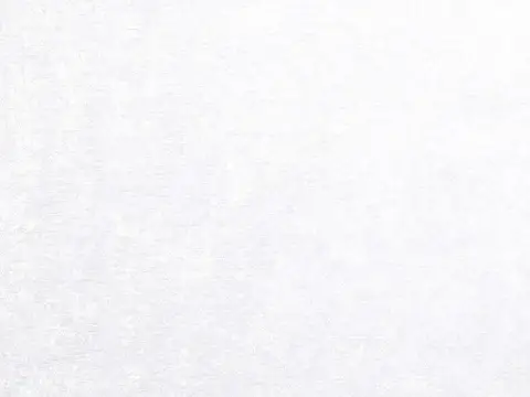 Alendel Whisper drapery fabric swatch in White (100)