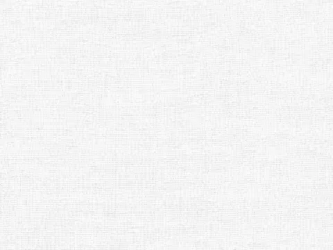 Alendel Willis sheer fabric swatch in Snow (143)