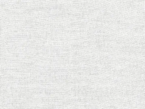 Alendel Willis sheer fabric swatch in Chamois (241)