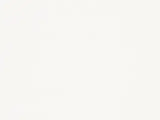Lutron Anderson 3% shade fabric swatch in Bright White (RF-AND3-08)