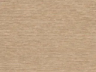 Lutron Austin <1% shade fabric swatch in Straw (RF-AUST-01)
