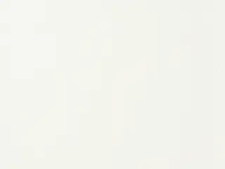 Lutron E Screen 0.5% shade fabric swatch in White/White (S0202E-0.5)