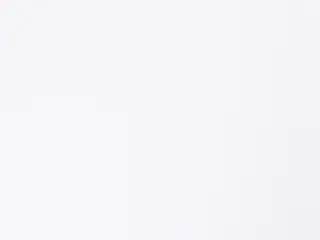 Lutron Luna <1% shade fabric swatch in Nova (RF-LUNA-7)