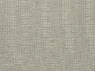 Lutron Natural Screen 5% shade fabric swatch in Ash (RF-NSCRN-A)