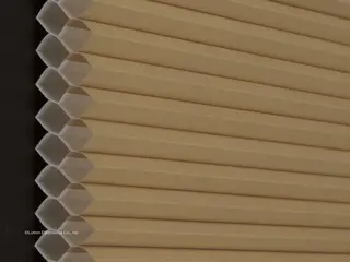 Lutron Rio Double-Cell Light-Filtering <1% shade fabric swatch in Latte (LF-SLDC-LT)