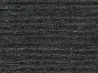 Lutron Roseau <5% shade fabric swatch in Jet (RF-ROS-JE)