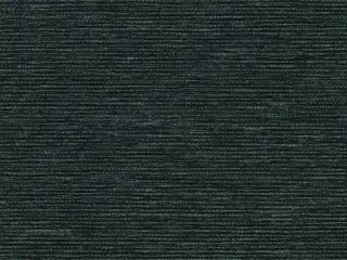 Lutron Roseau Blackout shade fabric swatch in Jet (RF-ROS0-JE)
