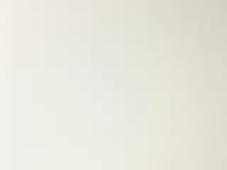 Lutron Satine Blackout shade fabric swatch in White (RF-SAT0-WH)