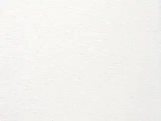 Lutron Stratus <3% shade fabric swatch in Swan (RF-STS-SW)