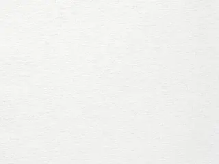 Lutron Stratus Blackout shade fabric swatch in Swan (RF-STS0-SW)