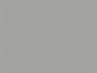 Mermet E Screen 0.5% shade fabric swatch in Pearl | Pearl (A07A07 0.5%)