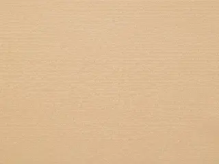 Mermet Vizela <1% shade fabric swatch in Mississippi (000618 <1%)