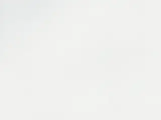Mermet Zora Twilight shade fabric swatch in White | White (002002)
