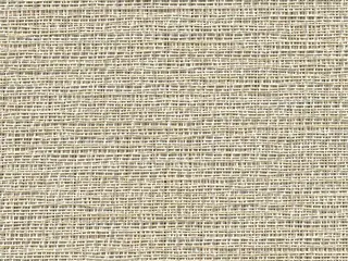 Phifer SheerWeave 5000 shade fabric swatch in Seaglass / Chardonnay (5000 U28)
