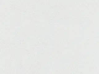 Phifer SheerWeave 7001 Blackout shade fabric swatch in White (7001 S50)
