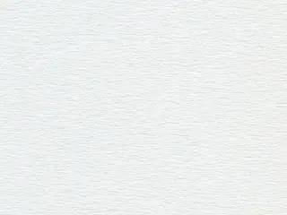 Phifer SheerWeave 7200R Blackout shade fabric swatch in Swan (7200R RB1)