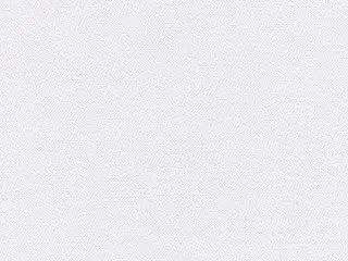 Phifer SheerWeave 7350 Light-Filtering shade fabric swatch in Icicle (7350 PB0)