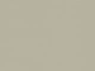 Phifer SheerWeave 7500 Blackout shade fabric swatch in Dune (7500 R17)