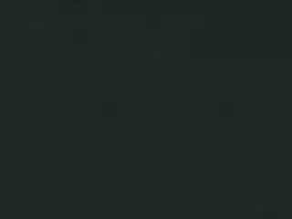 Phifer SheerWeave 7500 Blackout shade fabric swatch in Midnight (7500 R22)