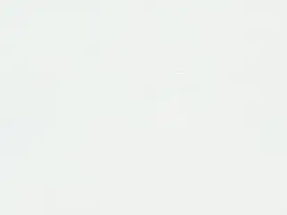 Phifer SheerWeave 7500R Blackout shade fabric swatch in Ice (7500R R44)