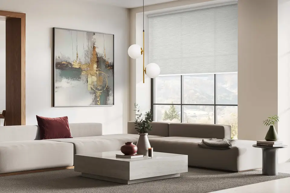 Palermo Transparent shade fabric in a room, photo 1 of 3 from TOP Window Covering