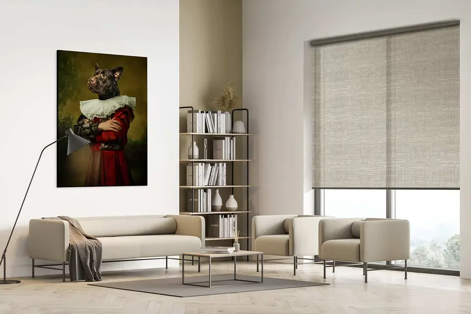 Puglia Transparent shade fabric in a room, photo 1 of 3 from TOP Window Covering