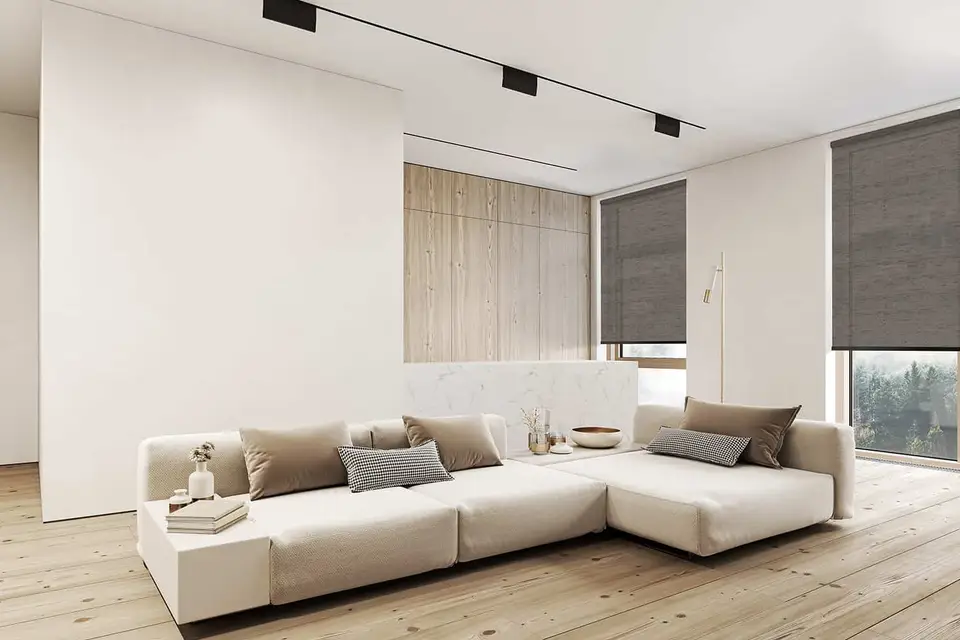 Reve Transparent shade fabric in a room, photo 1 of 2 from TOP Window Covering