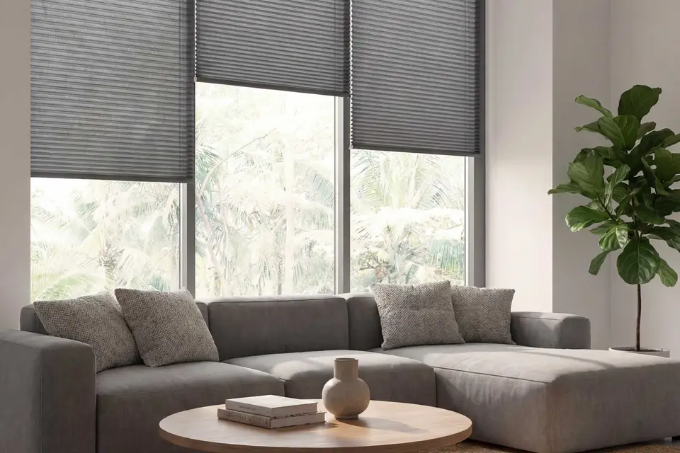 Ripasso Translucent 20 mm shade fabric in a room, photo 1 of 2 from TOP Window Covering