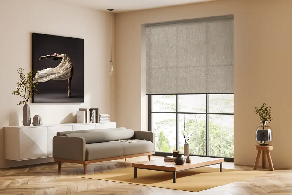 Roma Transparent shade fabric in a room, photo 1 of 3 from TOP Window Covering
