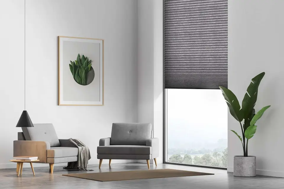 Soprano Translucent shade fabric in a room, photo 1 of 3 from TOP Window Covering
