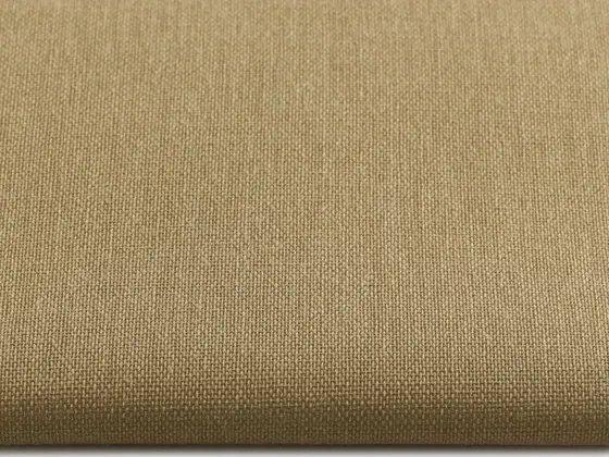 TOP Orient Transparent roller shade fabric swatch in Silver Fern (57034)