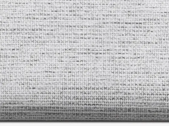 TOP Palermo Transparent roller shade fabric swatch in White (84001)