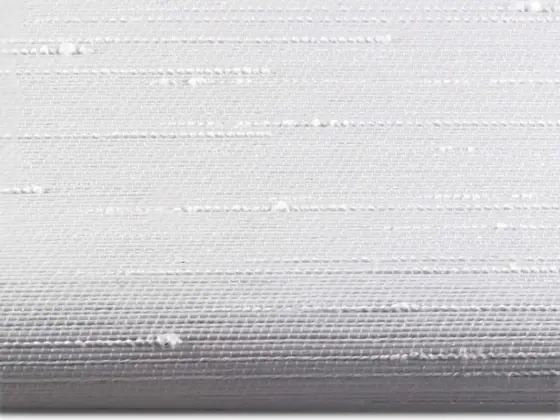 TOP Reve Transparent roller shade fabric swatch in White (77001)
