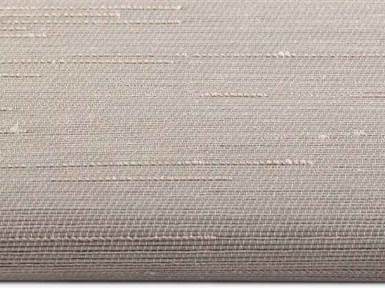 TOP Reve Transparent roller shade fabric swatch in Light Beige (77005)