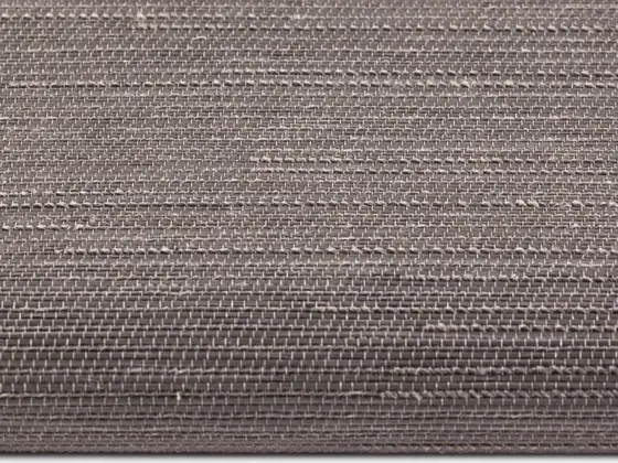 TOP Reve Transparent roller shade fabric swatch in Gray (77008)