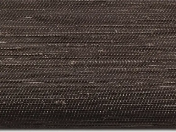 TOP Reve Transparent roller shade fabric swatch in Brown (77009)