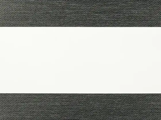 TOP Twinlight Dixie XL zebra shade fabric swatch in Gunmetal (ECDX 280.009)