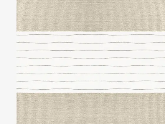 TOP Twinlight Salsa zebra shade fabric swatch in Beige (280 002)