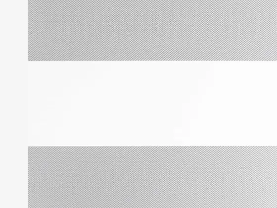 TOP Twinlight Samba zebra shade fabric swatch in Light Gray (ECSM 280.003)